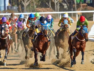 Horse Racing