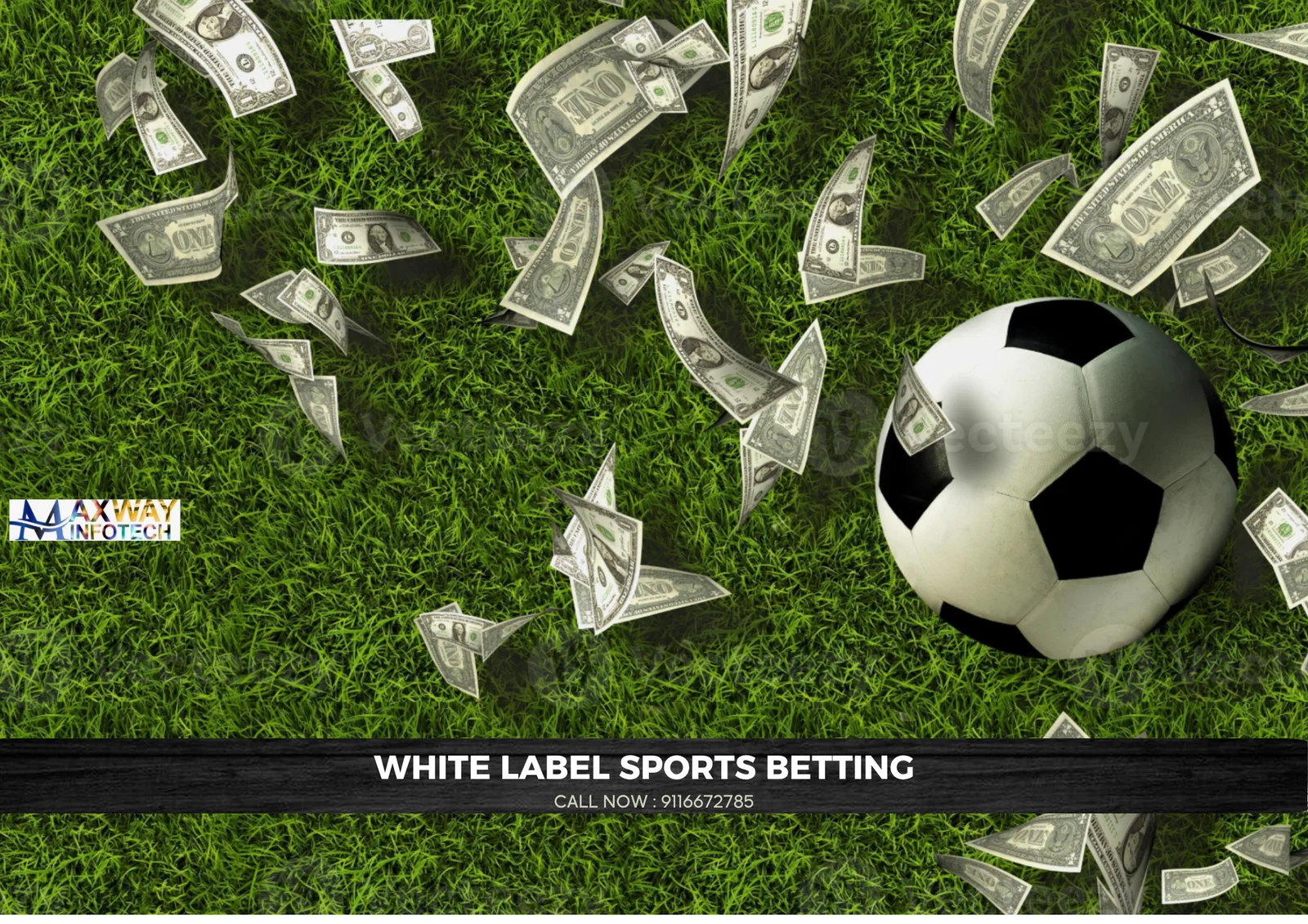 white label sports betting
